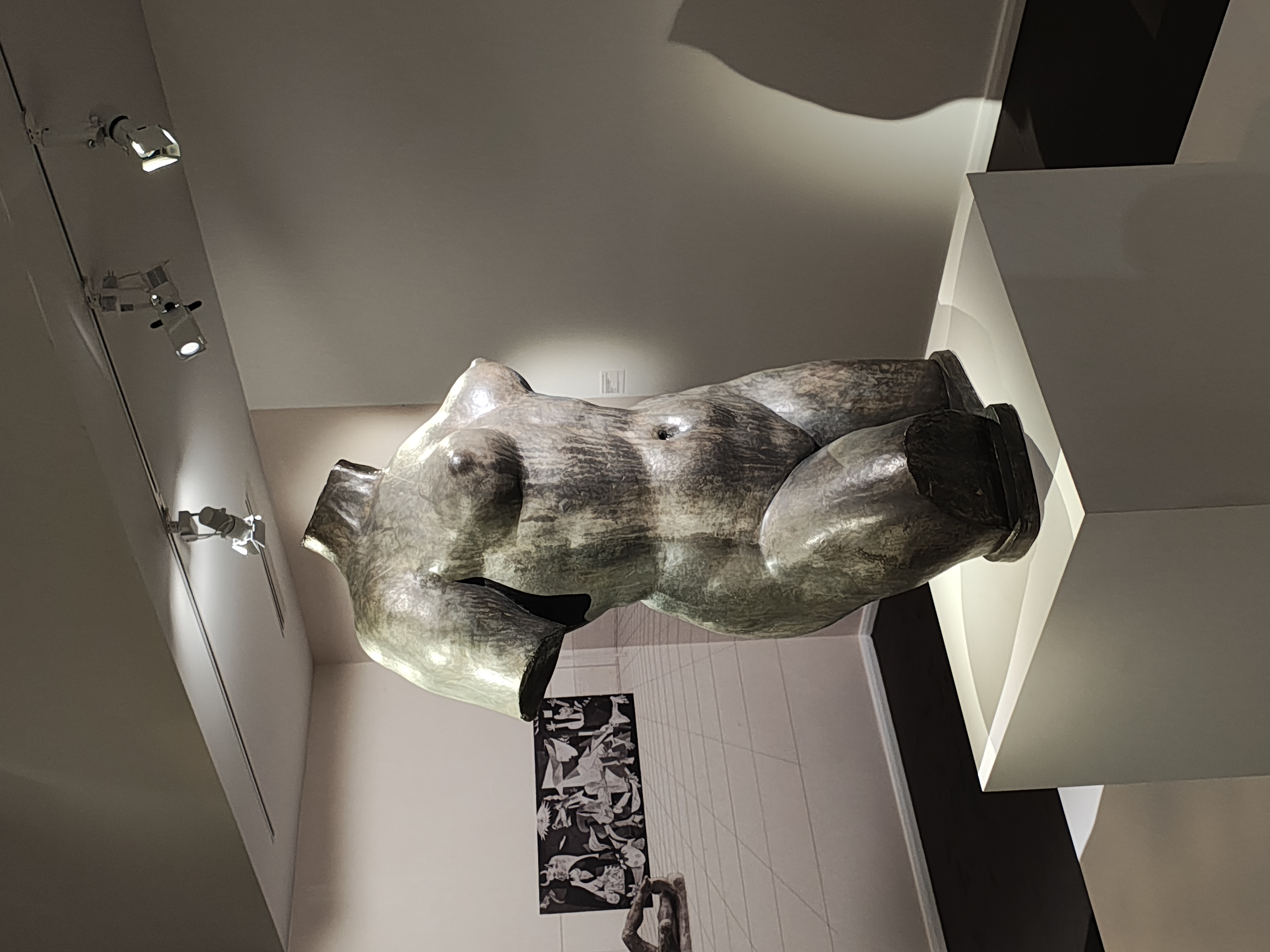 Grand torse féminin 